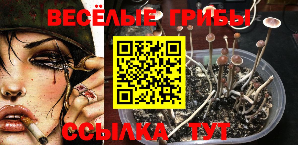 Галлюциногенные грибы Cubensis Назрань