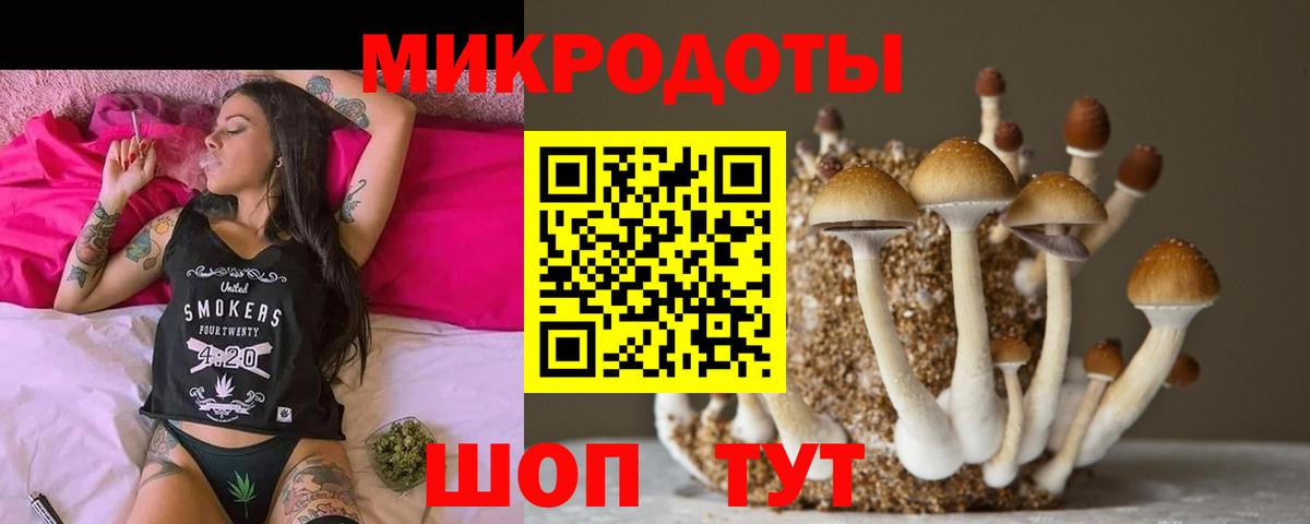 Назрань  Галлюциногенные грибы мицелий  Вход с VPN  закладка  Псилоцибиновые грибы Psilocybine cubensis 
